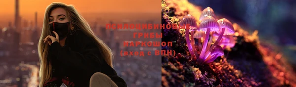 каннабис Аркадак