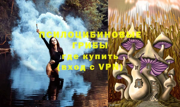 каннабис Аркадак