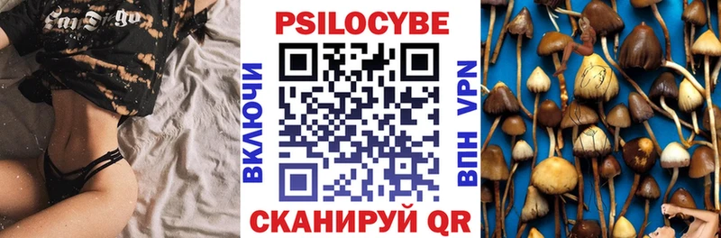Галлюциногенные грибы мицелий  Отрадный 